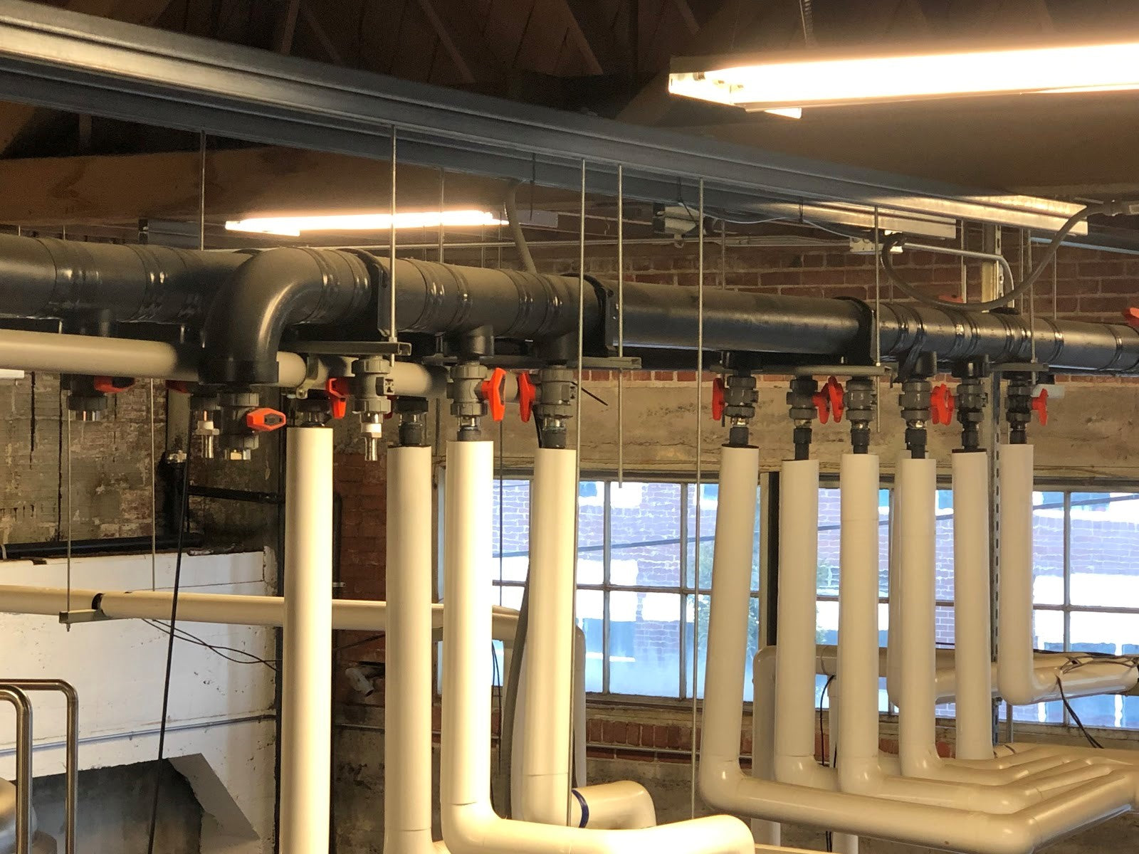 Glycol manifold routed through a brewery ceiling