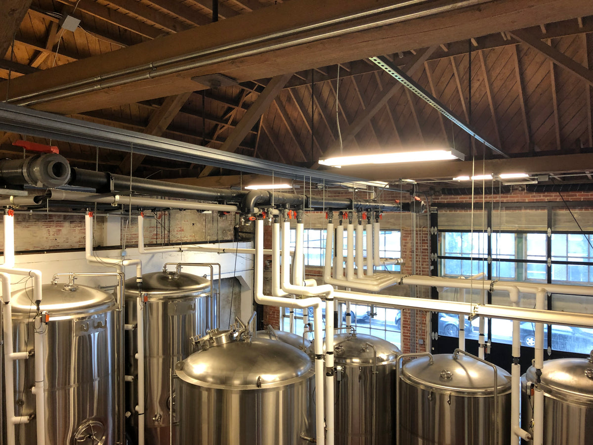 Glycol lines run through a brewery ceiling